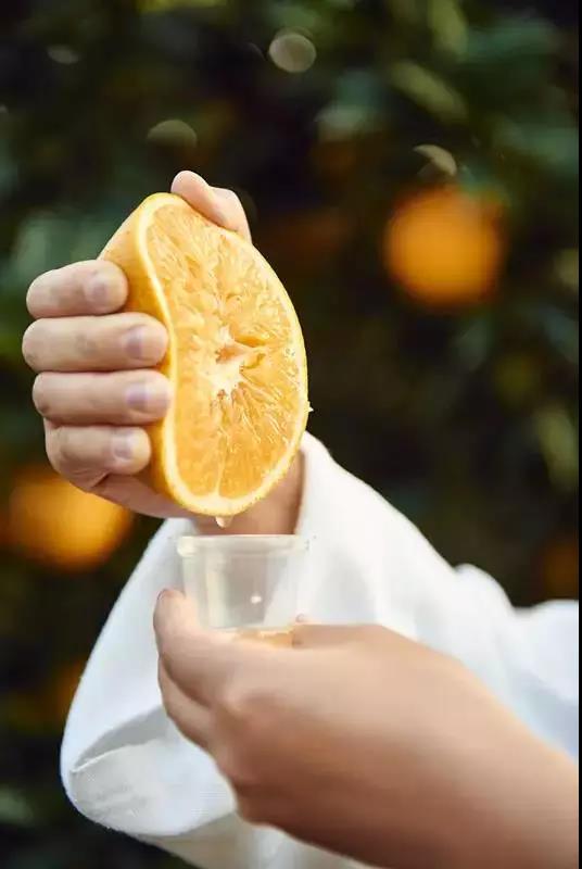 脐橙采摘季 欢乐信丰行 安西篇